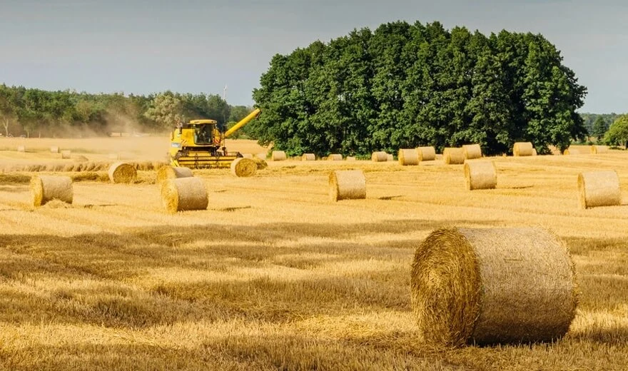 Produtos de selagem para máquinas agrícolas